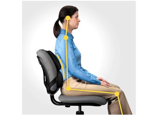 Fellowes Professional Series Back Support