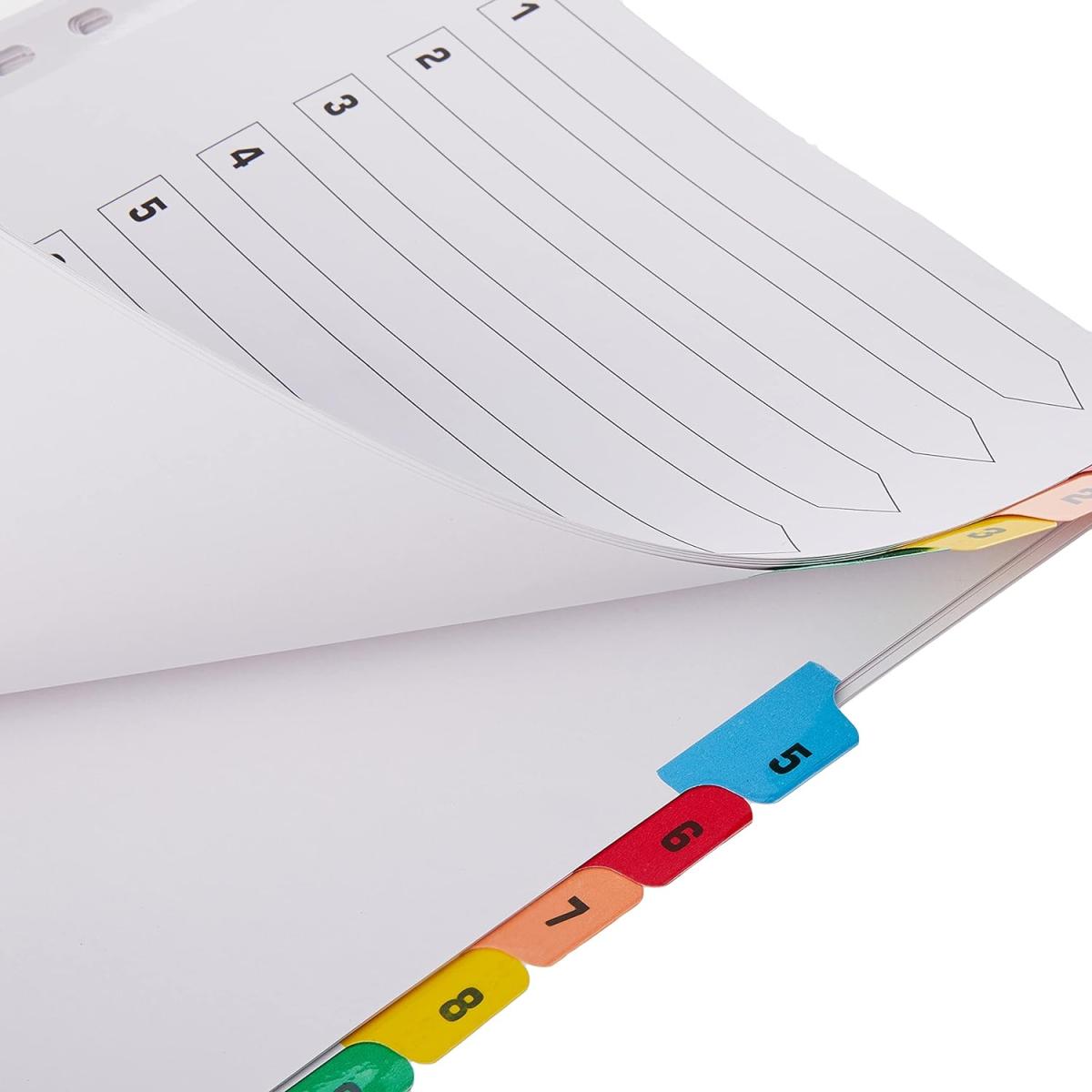 1-31 Plastic Dividers
