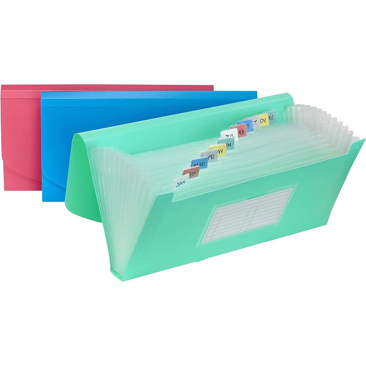 Expanding File Check Size 13-Pocket