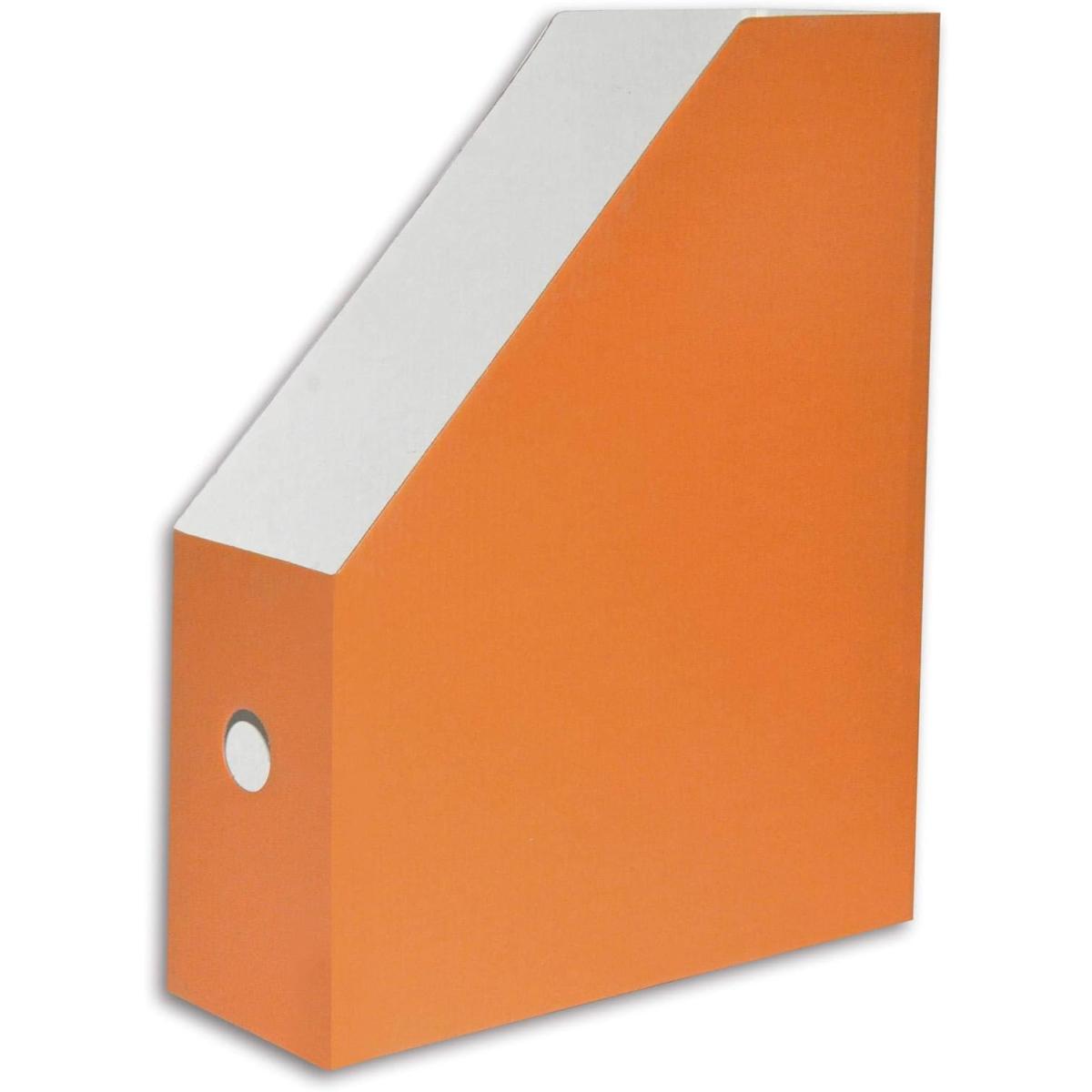 Carton Magazine Files Pack of 2